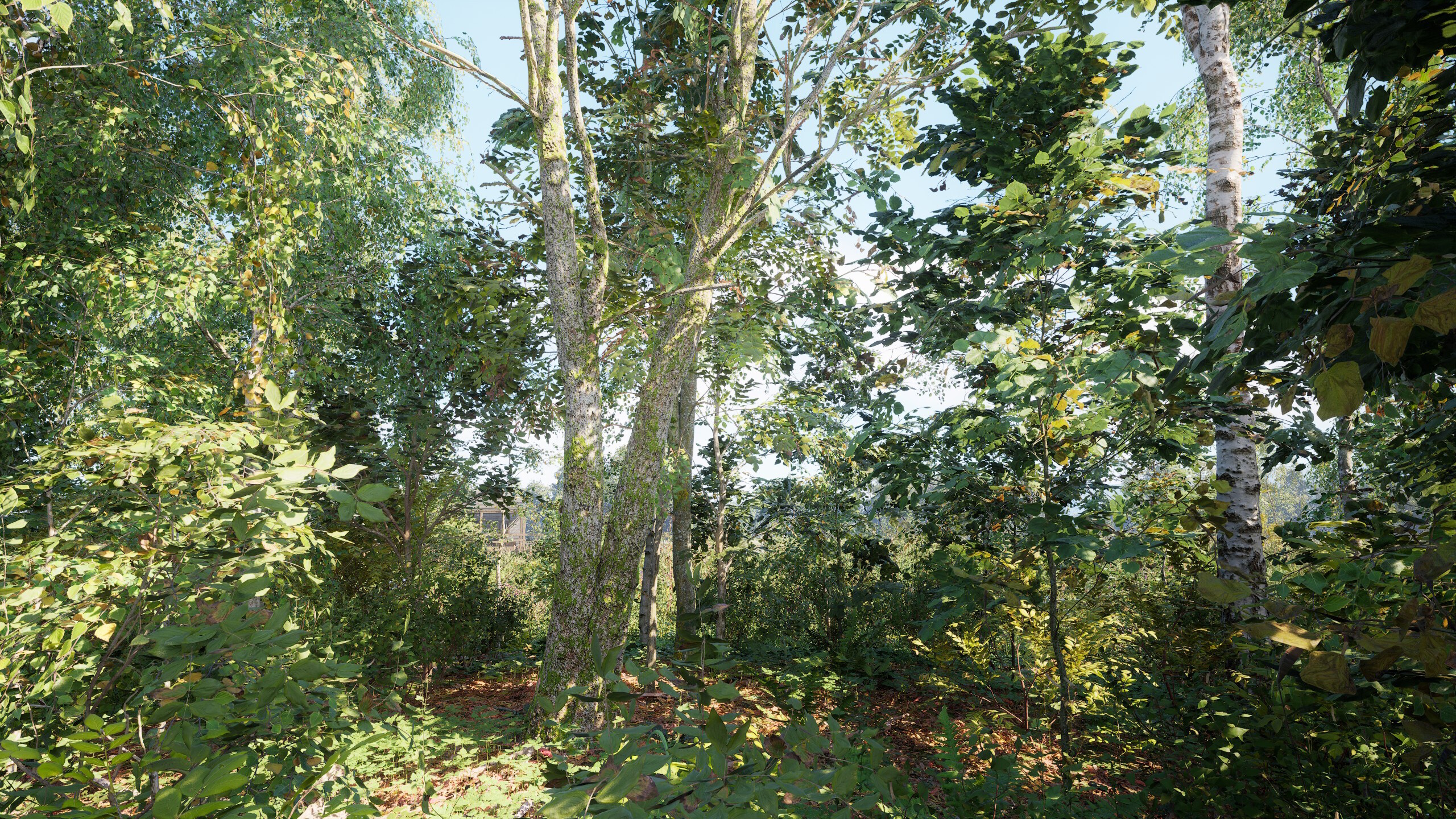 Russian Soul Simulator screenshot 13