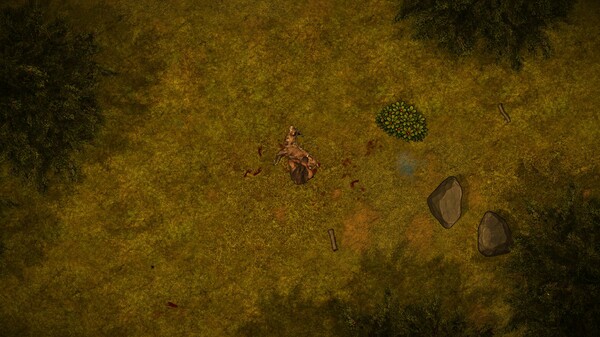 Primage 1