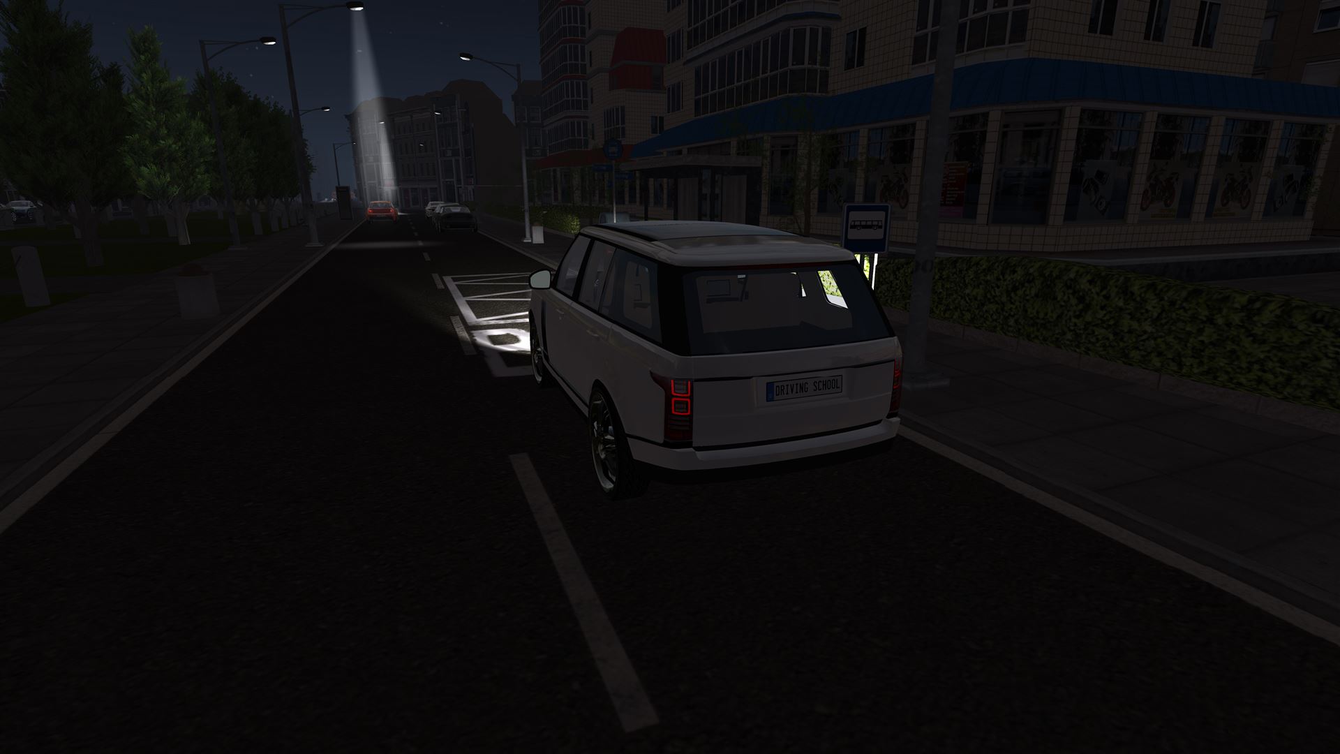 Driving School Simulator screenshot 2