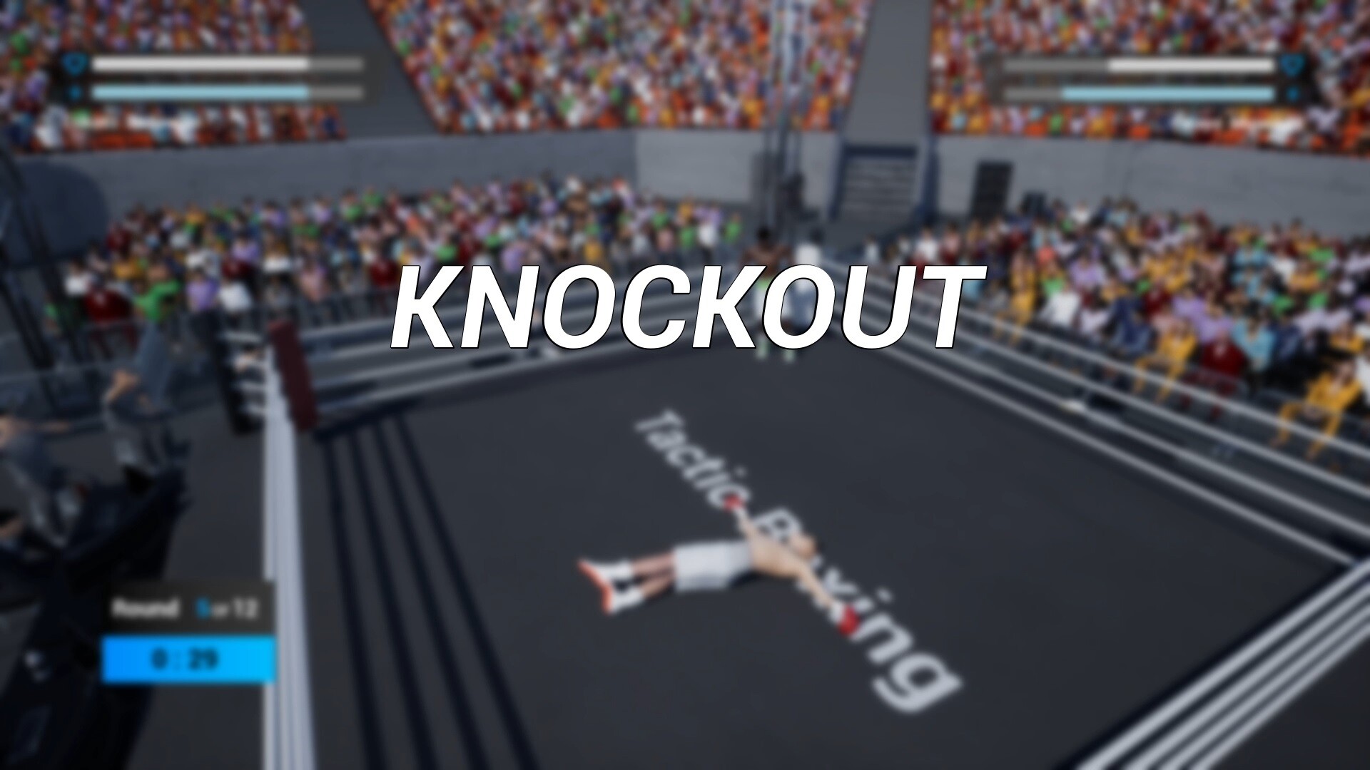 Tactic Boxing screenshot 14