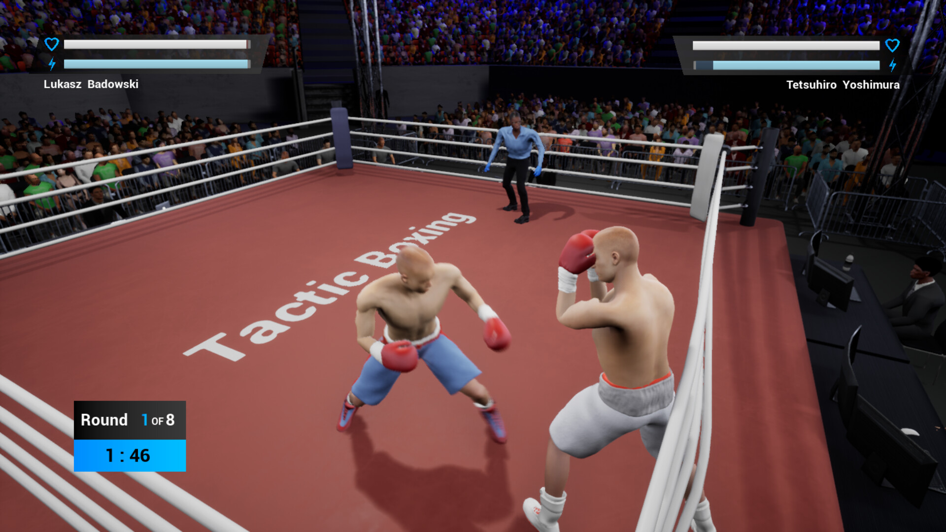 Tactic Boxing screenshot 2