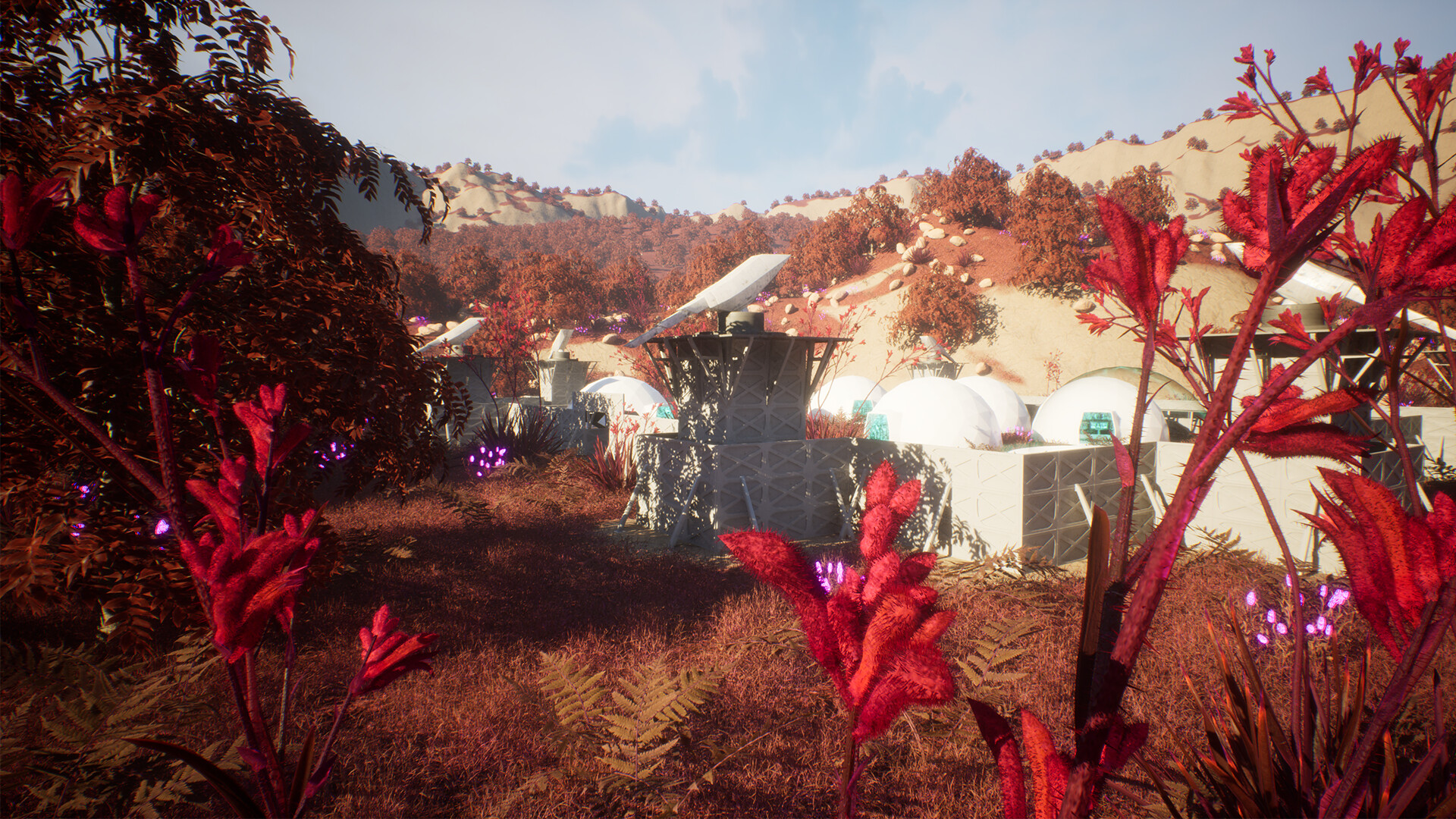 Beetle Nest screenshot 9