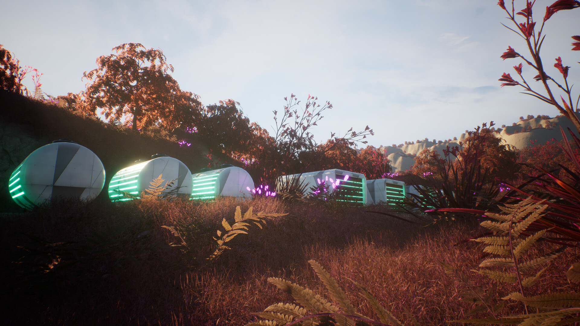 Beetle Nest screenshot 11