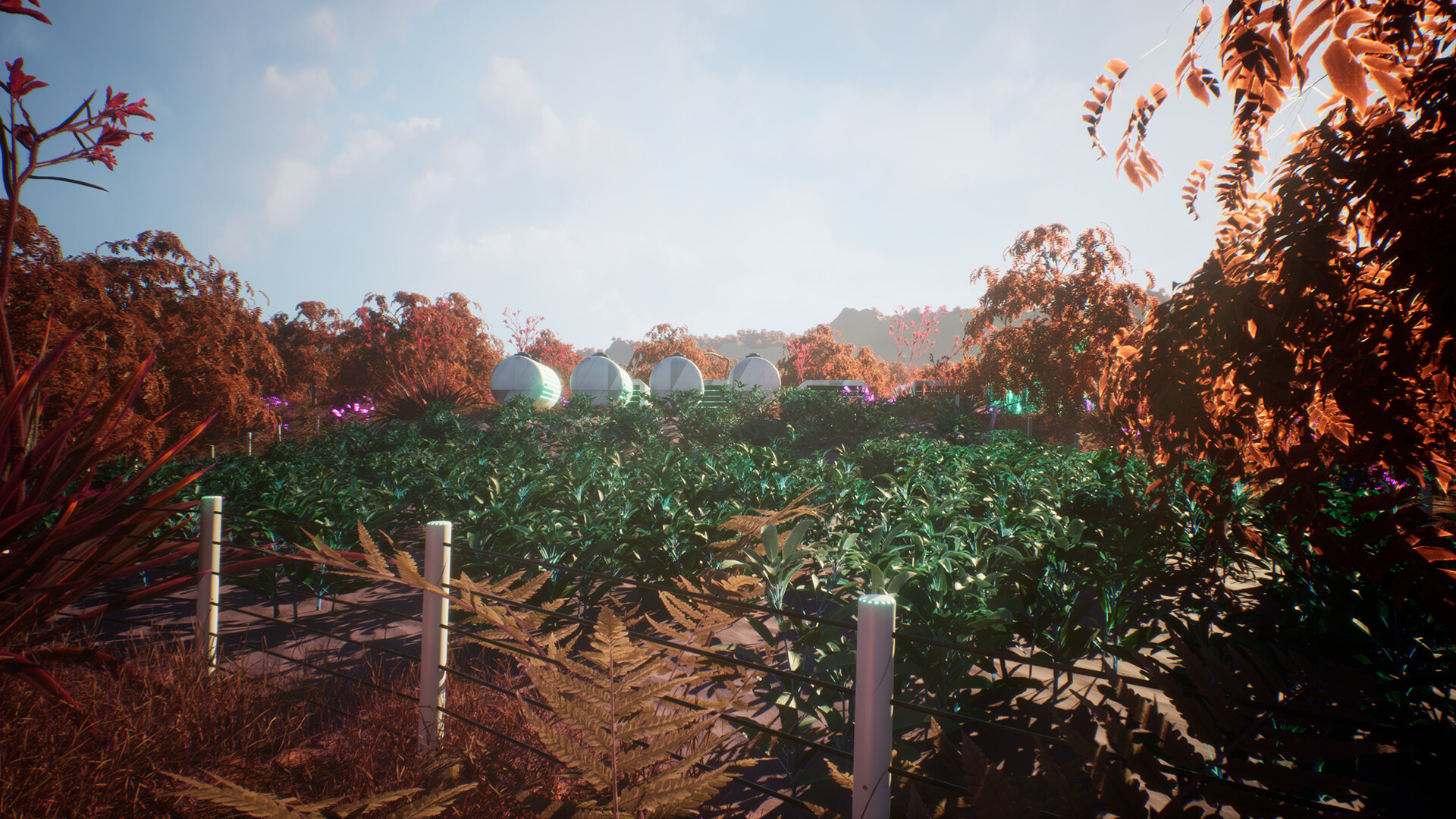Beetle Nest screenshot 12