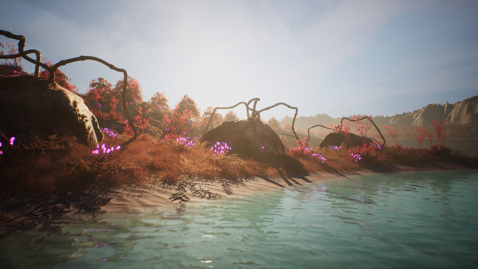 Beetle Nest screenshot 13
