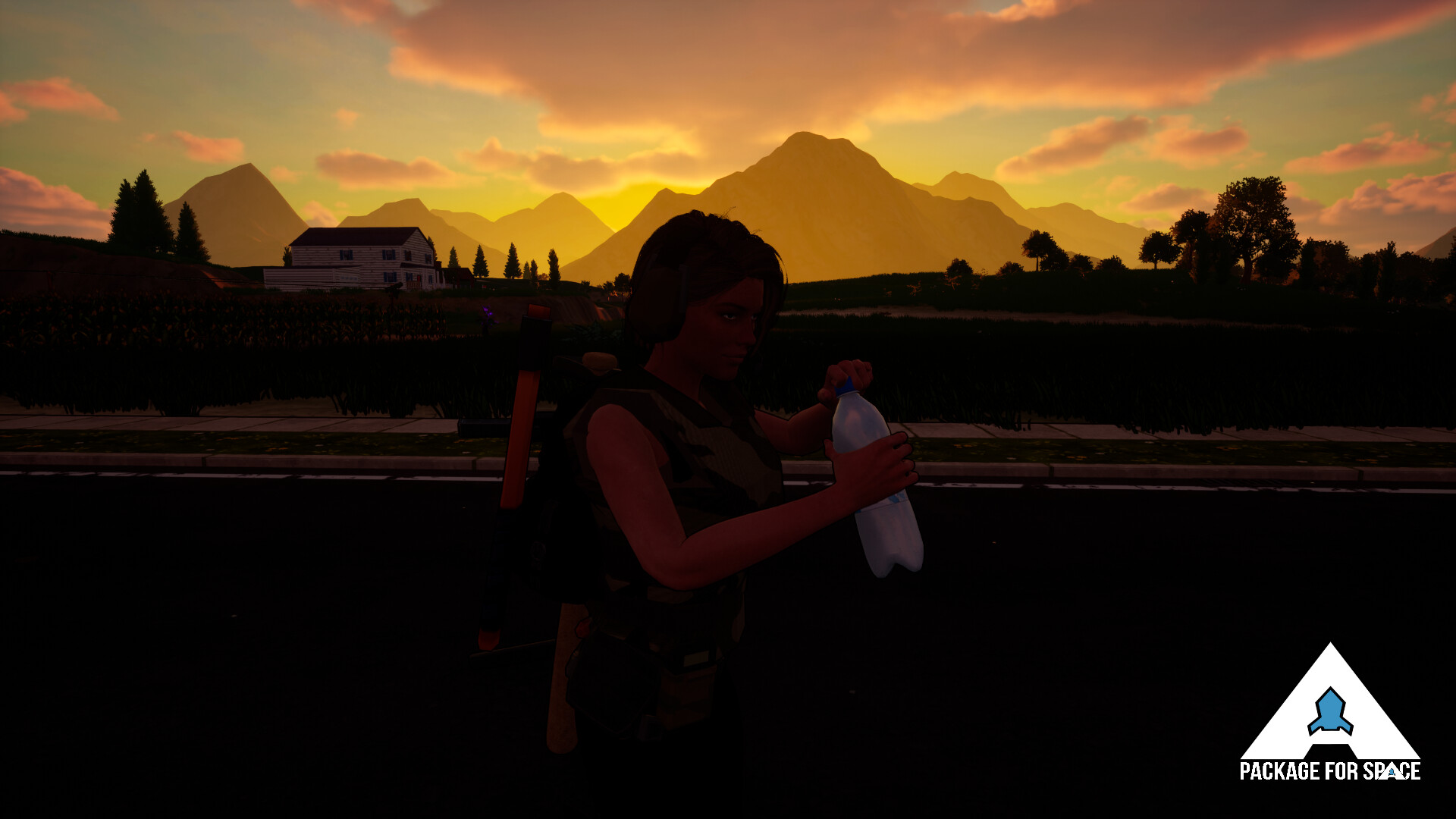 A Package For Space screenshot 7