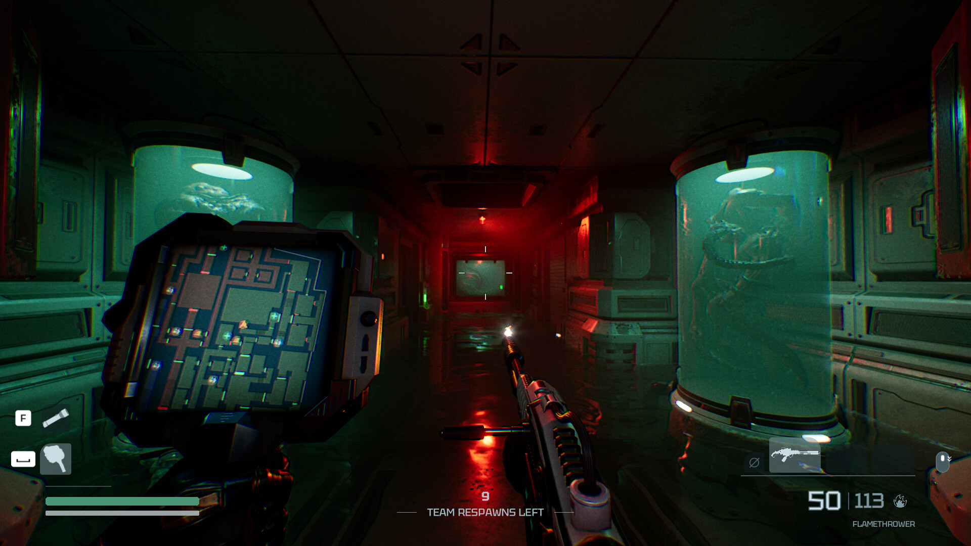 Species: Unknown — изображение 5