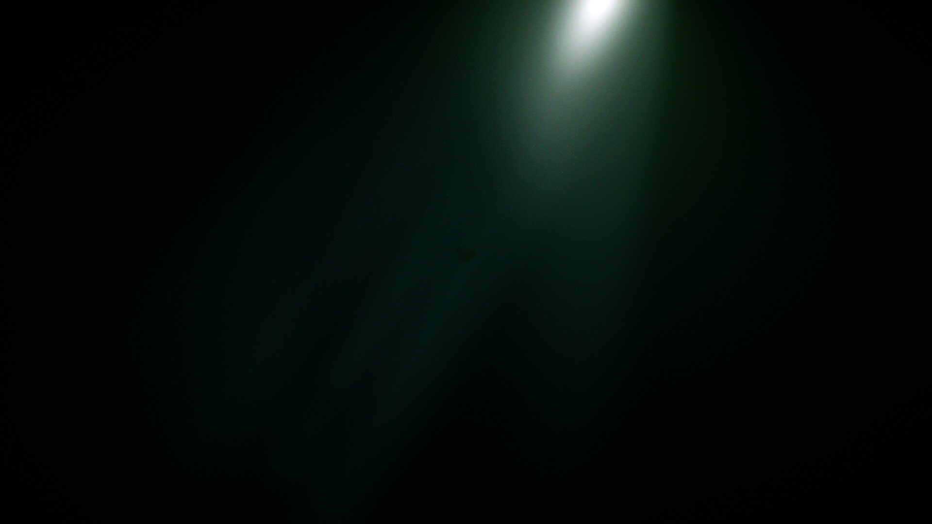 LIO screenshot 6