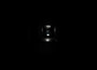 A screenshot of What Lurks Inside
