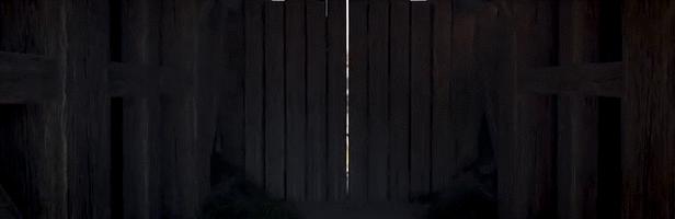 GIF_09.12.2024_16-40-49_v3_reverse.gif