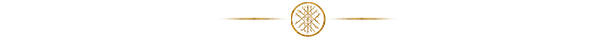 STEAM_VIKINGS_DYNASTY_DIVIDER_v2.png