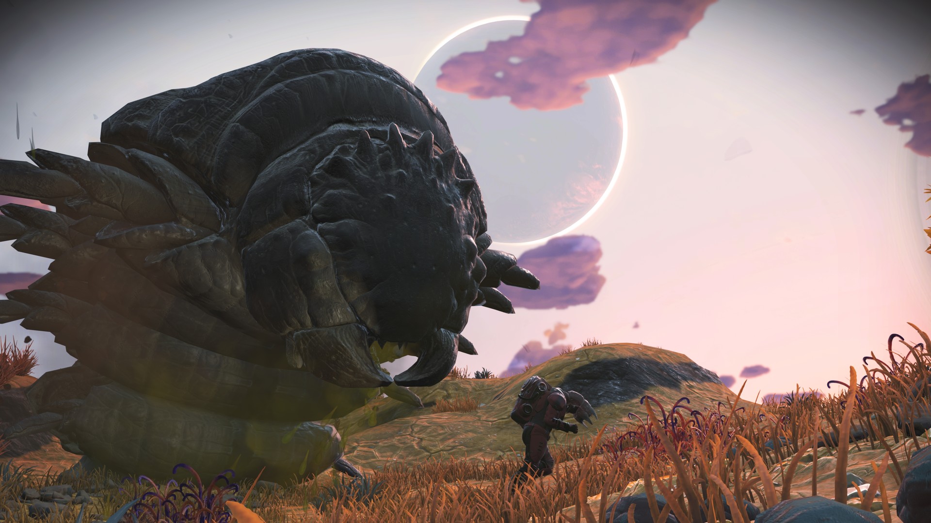 No Man's Sky — изображение 133