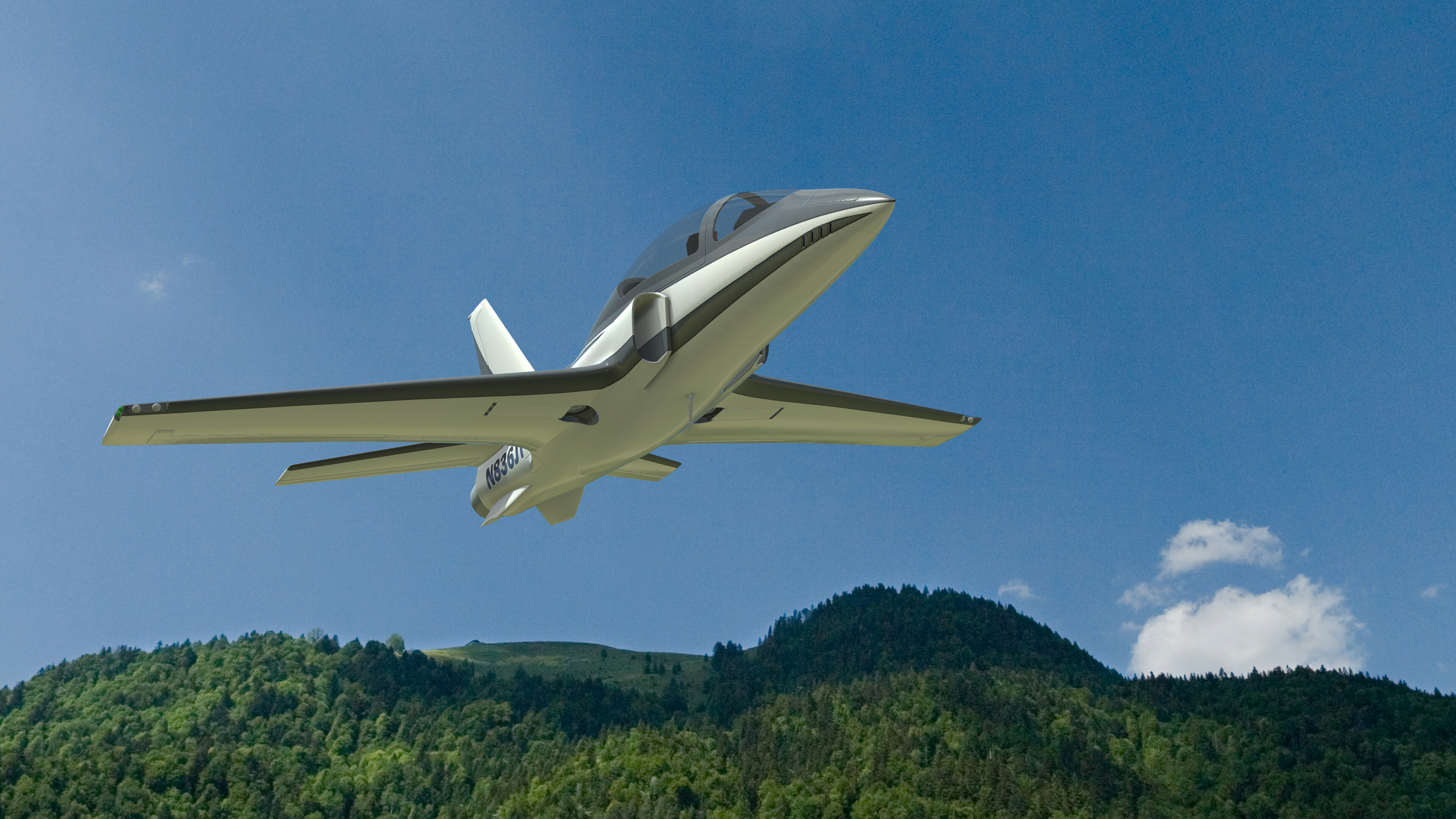 RealFlight Evolution - ViperJet screenshot 6