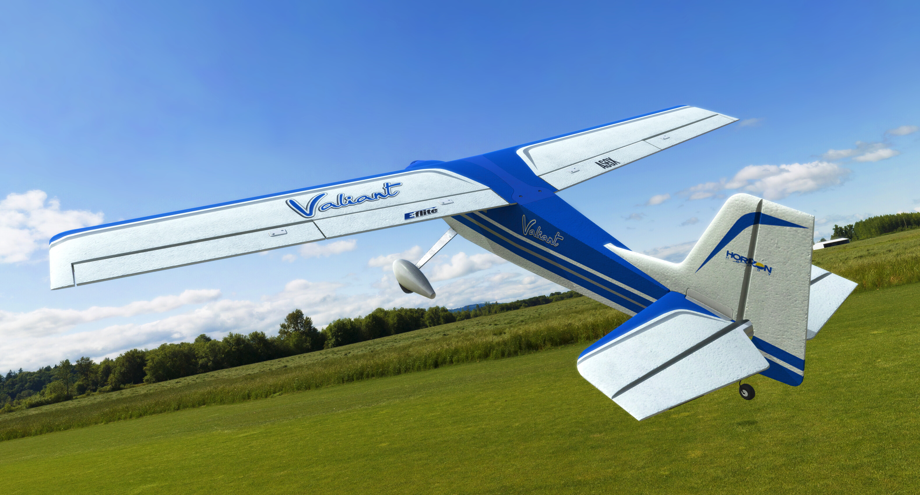 RealFlight Evolution - E-flite Valiant 1.3m screenshot 3