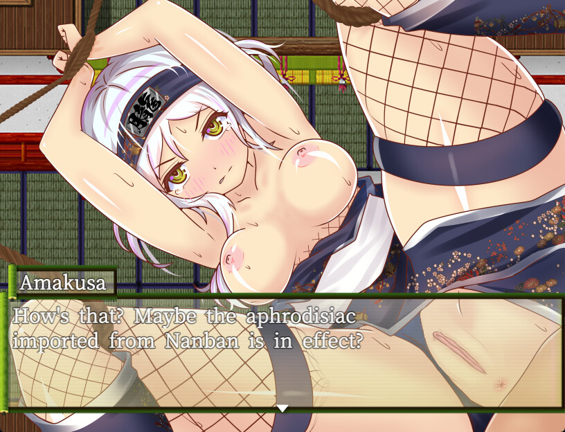 Ninja Infiltration screenshot 6