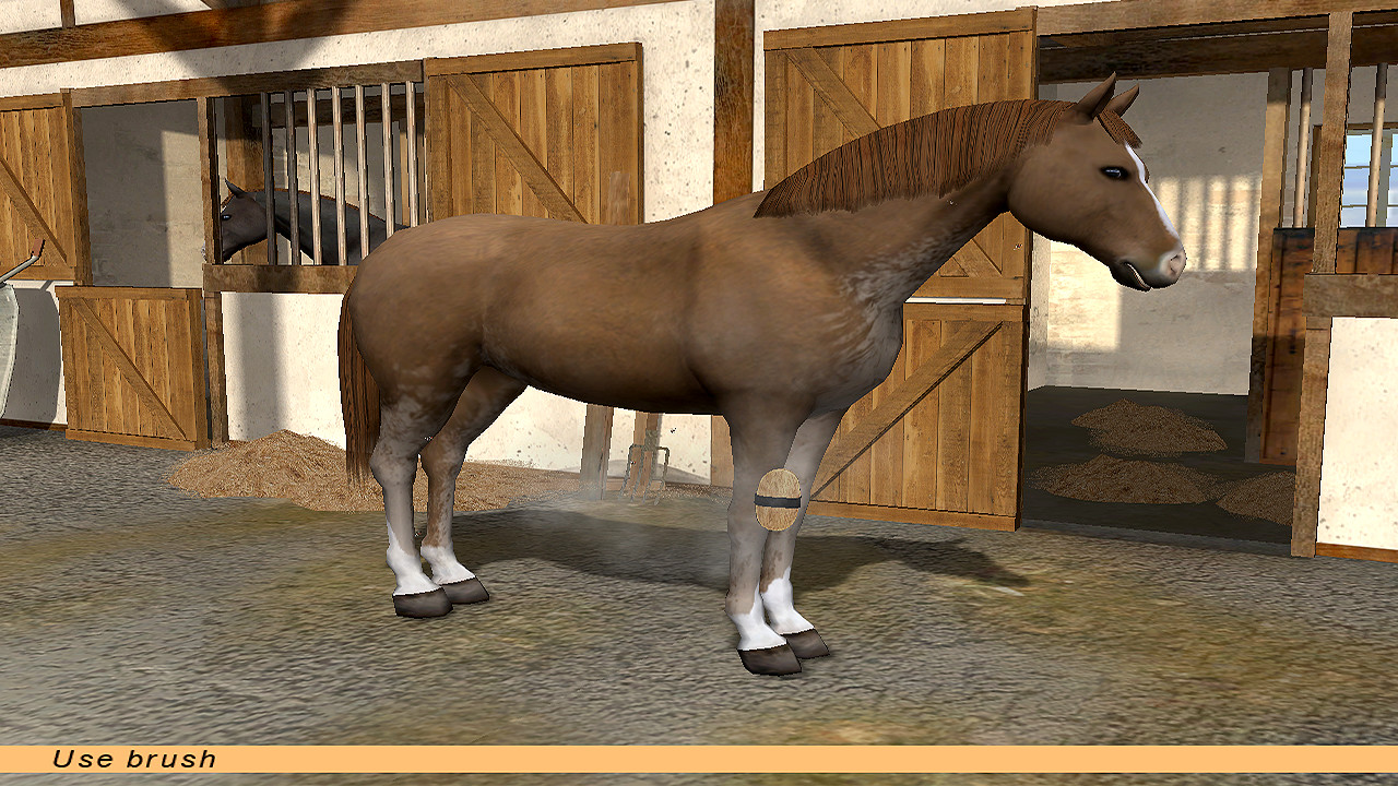 Riding Star screenshot 7