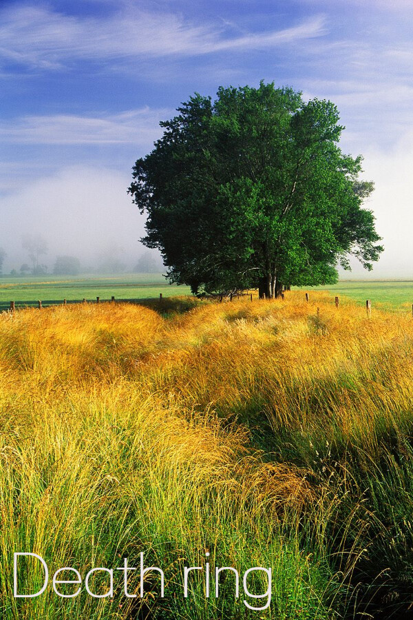 f3325b79-f04e-cef3-7701-13f3abc7154b