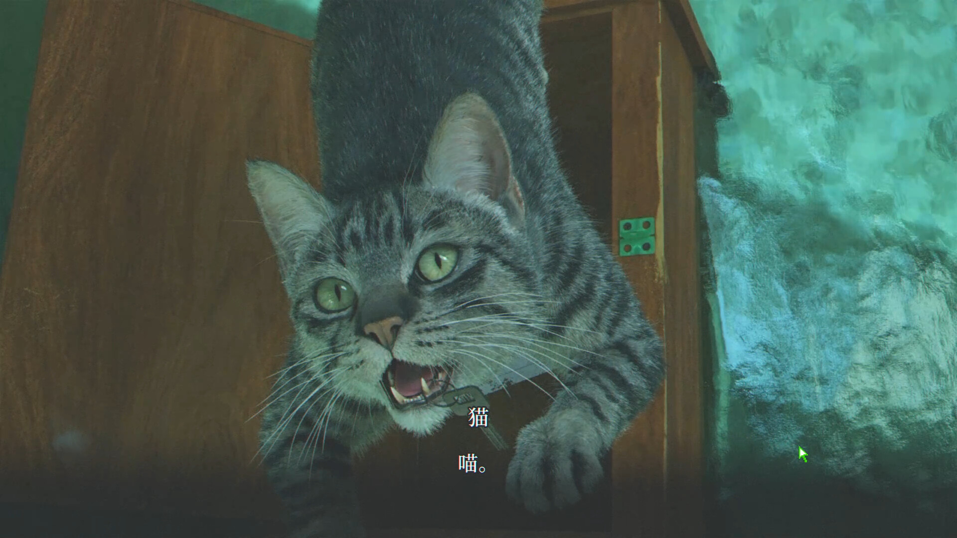 杀青 screenshot 12