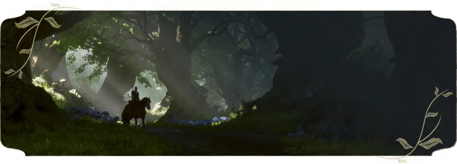 『Fable』の戦闘・世界観イメージ