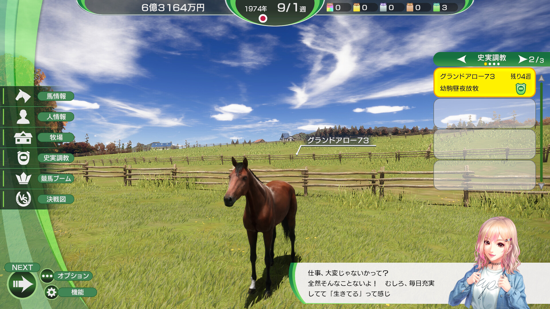 WP10 2024 史実調教使用可能数＋1（永続型） on Steam