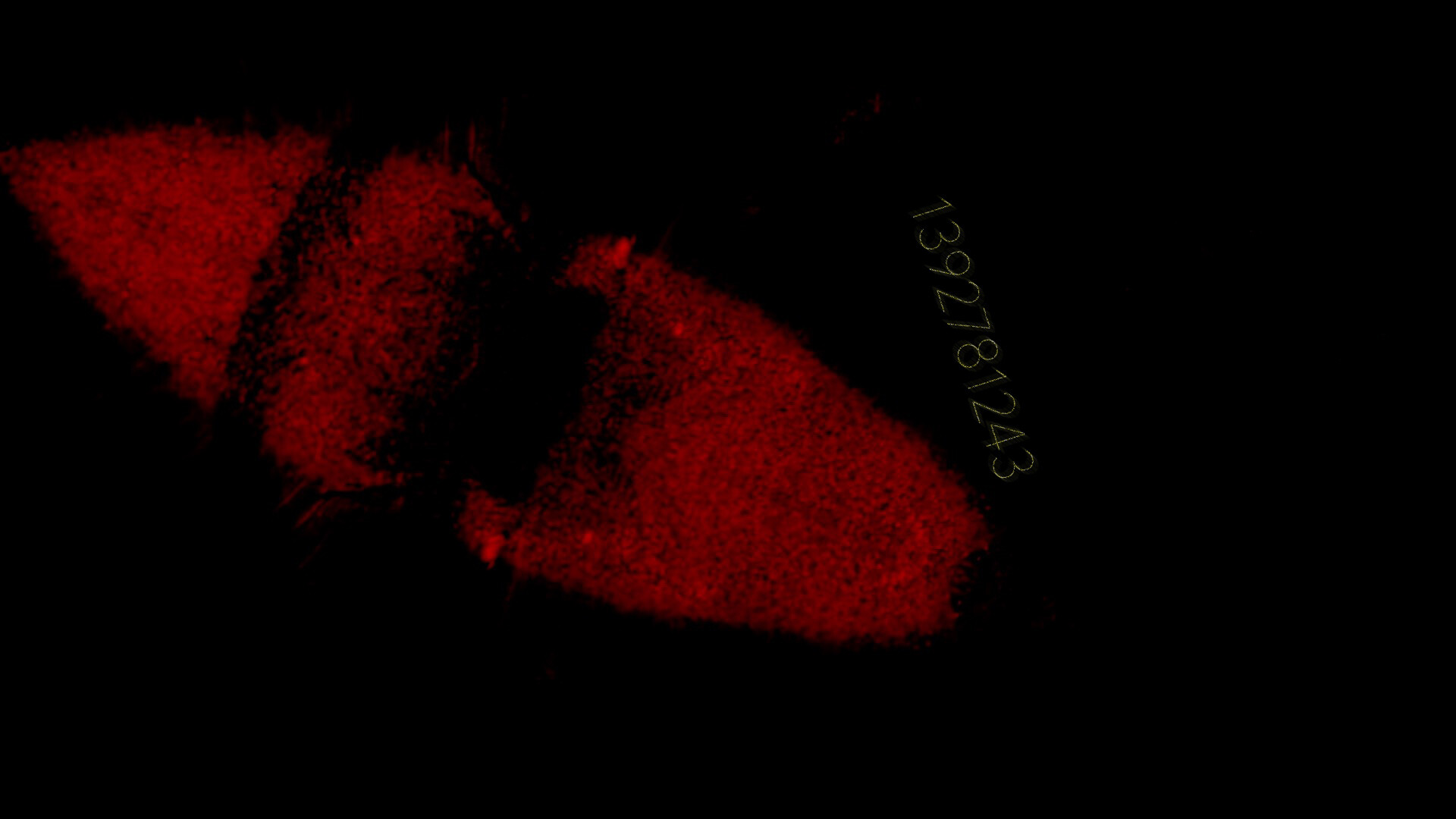 Project C screenshot 5
