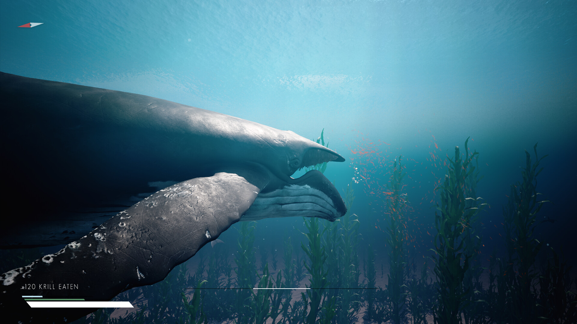 Infinite Blue screenshot 7