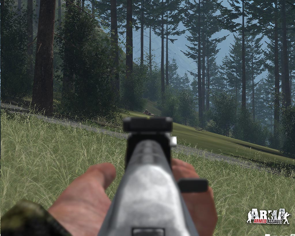 ARMA: Combat Operations screenshot 20