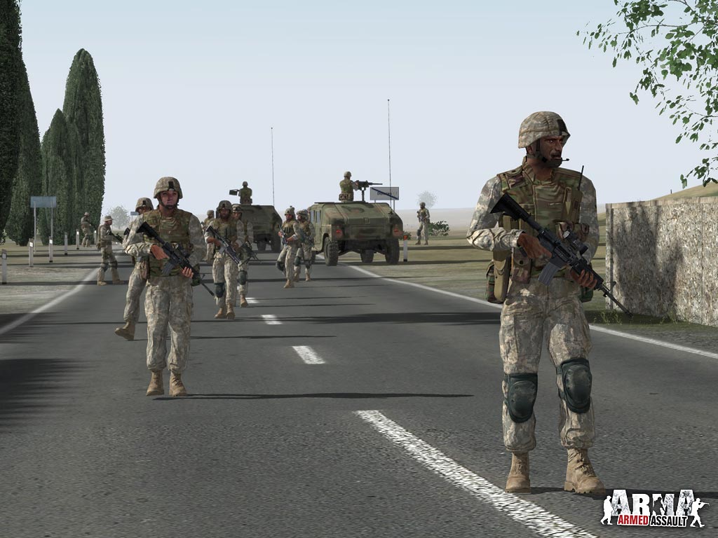 ARMA: Combat Operations screenshot 12