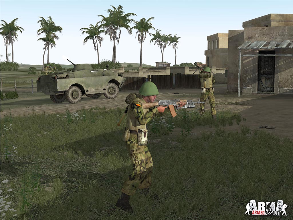 ARMA: Combat Operations screenshot 13