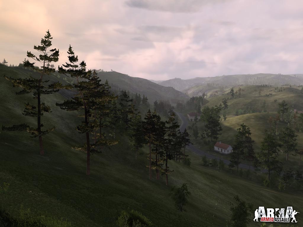 ARMA: Combat Operations screenshot 11