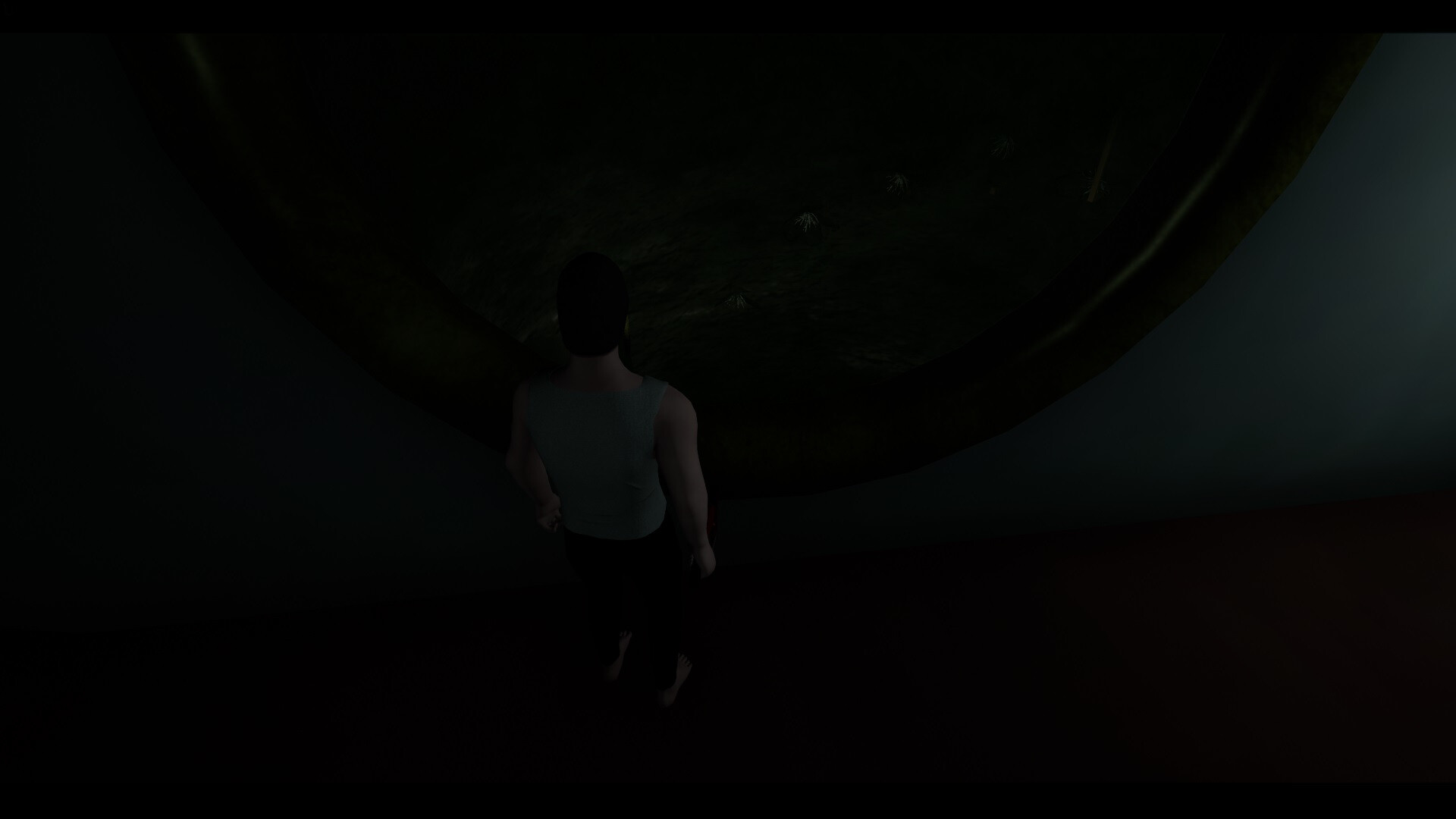 DinD screenshot 5