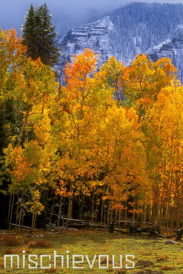 c545d741-c953-d8ac-8446-b78b01bf693f