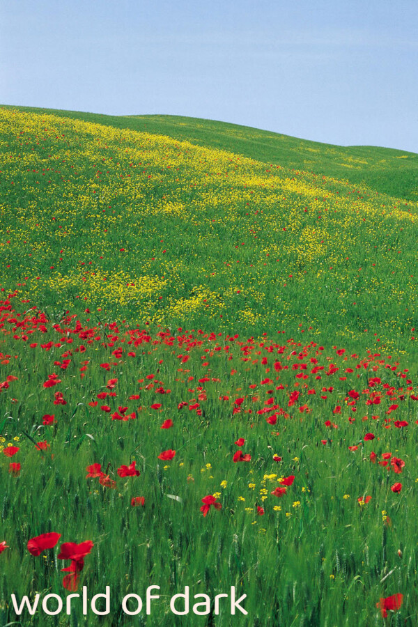 724a38eb-d8a2-03fa-7292-2f4aeb03486d