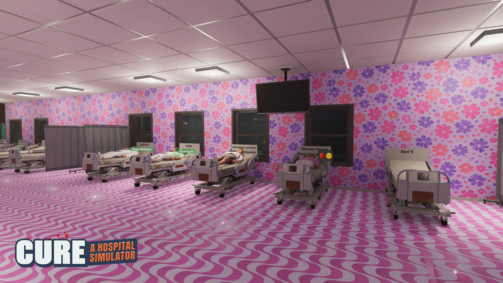 CURE - A Hospital Simulator screenshot 11