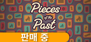 Pieces of the Past
