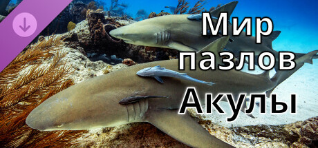 Мир пазлов - Акулы