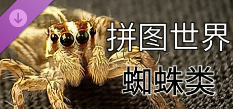 拼图世界 - 蜘蛛类