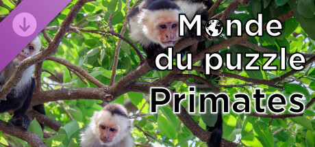 Monde du puzzle - Primates