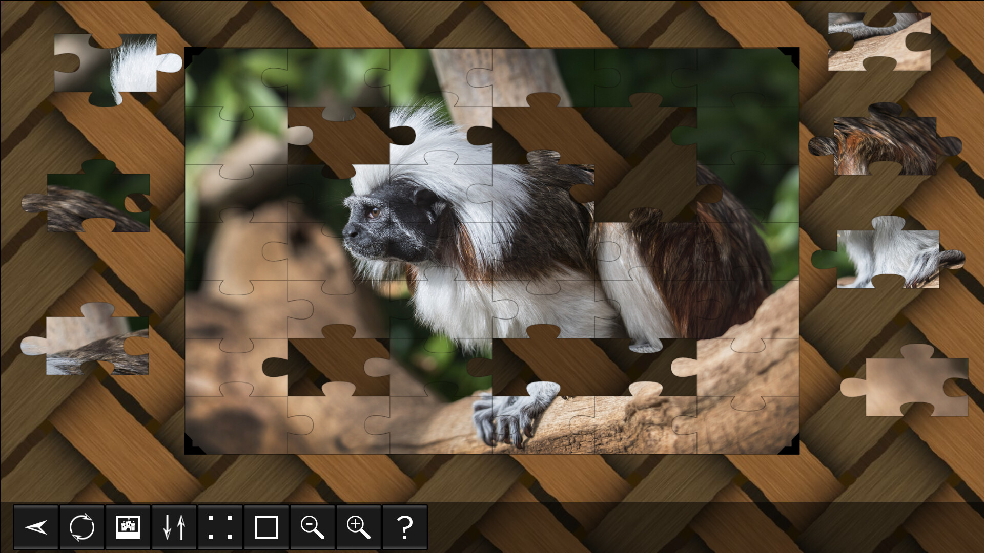Jigsaw Puzzle World - Primates screenshot 4