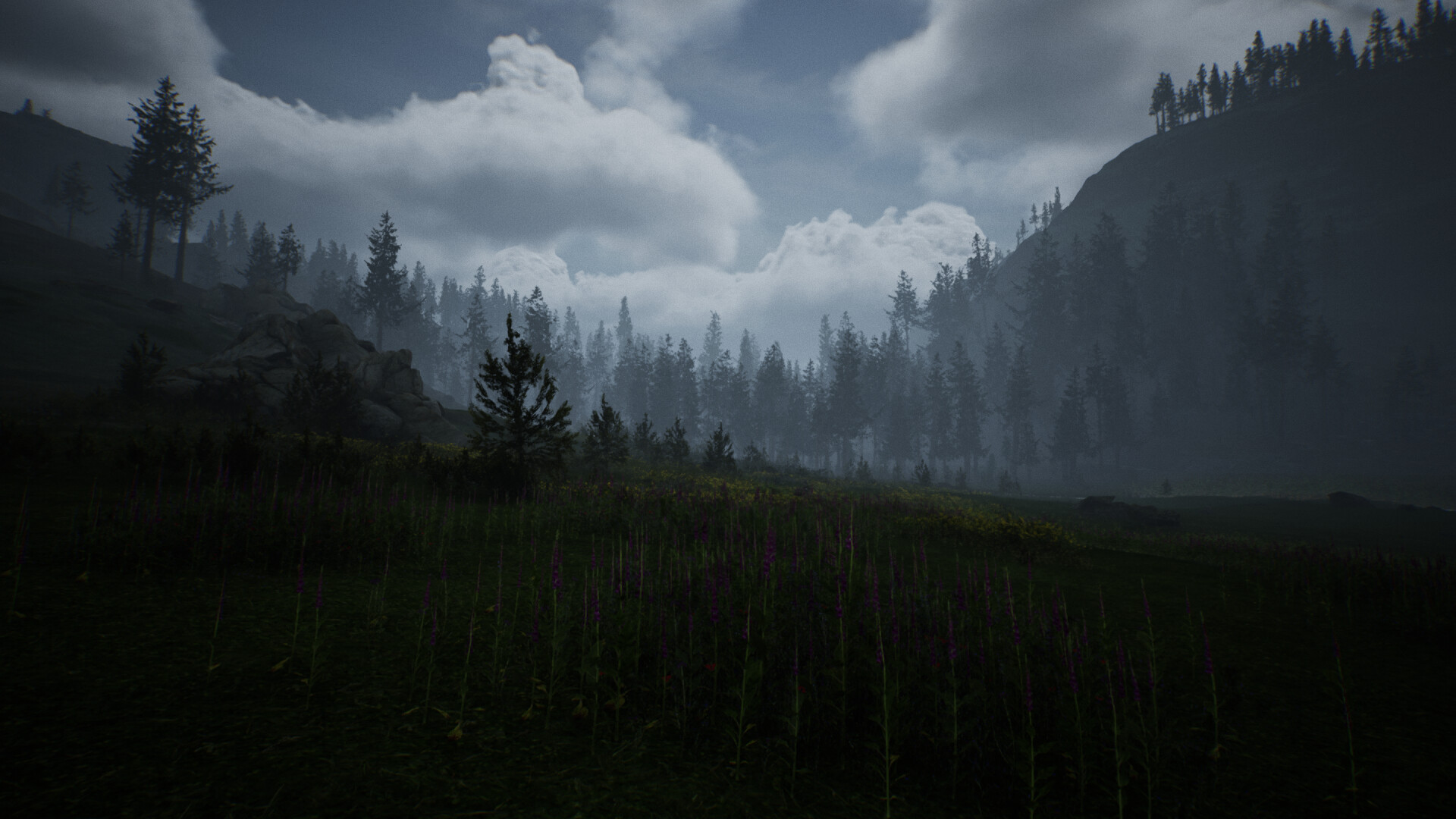 The image depicts a misty, forested landscape under a cloudy sky. In the foreground, tall, slender wildflowers with purple blossoms grow densely in a grassy field. The midground features a rocky outcrop surrounded by various trees, which continue in a dense line across the scene, gradually rising up the slopes of hills on either side. The mist and clouds create a moody atmosphere, softening the outlines of the distant trees and hills under a muted light.