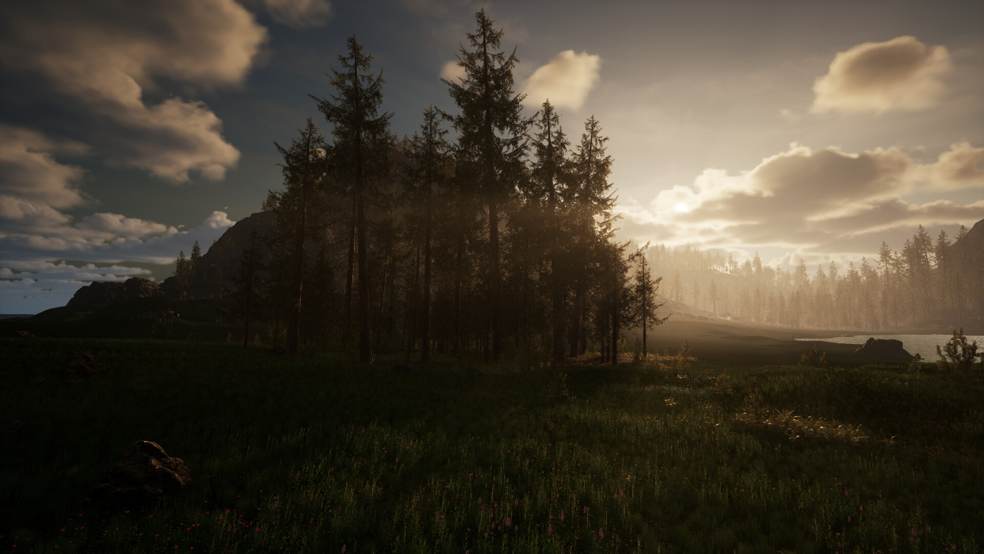 The image depicts a serene natural landscape at either dawn or dusk, with soft sunlight filtering through a dense cluster of tall pine trees in the middle ground. The foreground features a grassy meadow dotted with small rocks and scattered wildflowers, while a calm body of water is visible to the right, bordered by more trees. In the background, distant hills and additional trees fade into a gentle mist, all under a partly cloudy sky with warm, muted tones.