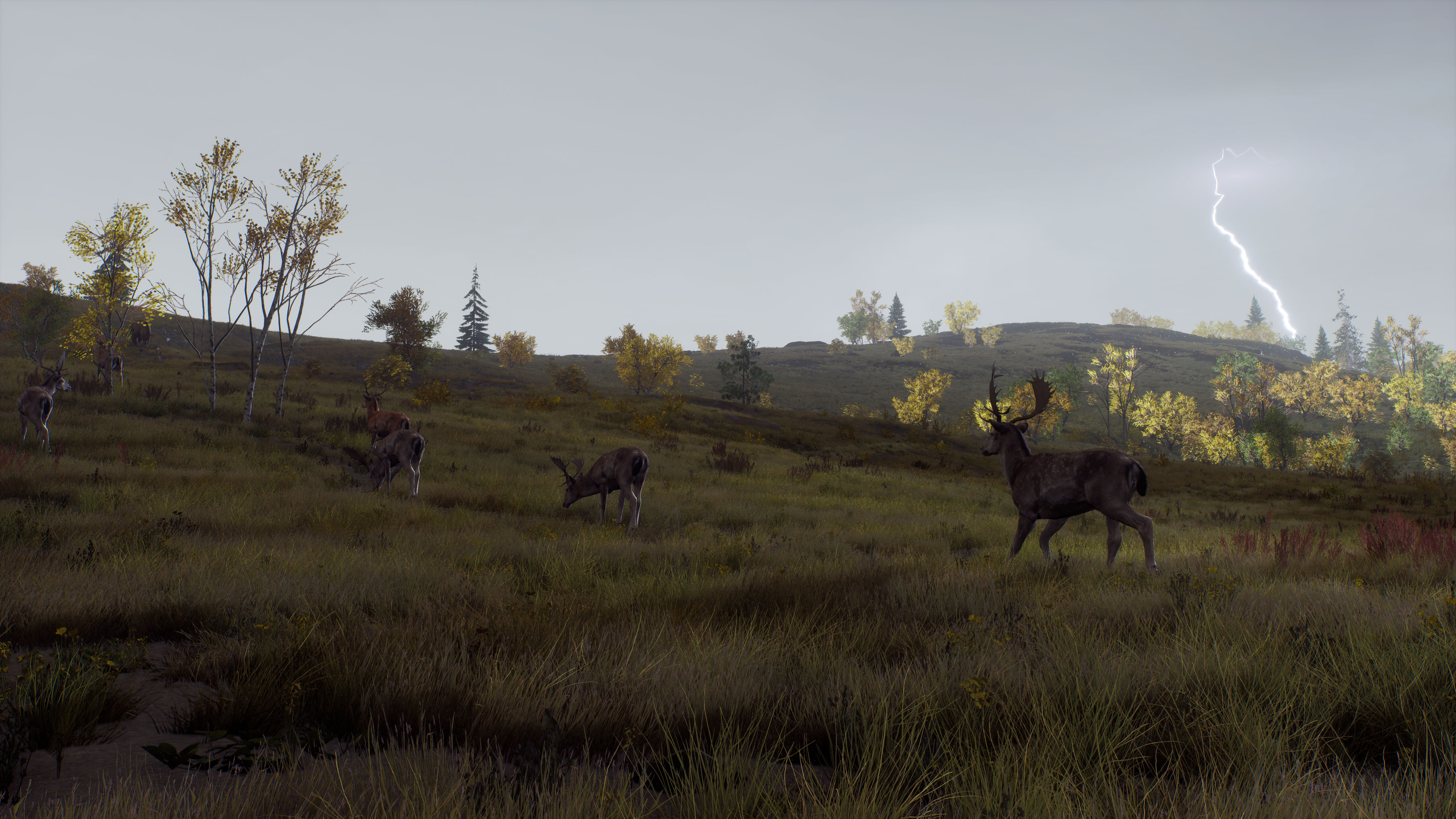 Way of the Hunter - Map Pack 2 screenshot 15