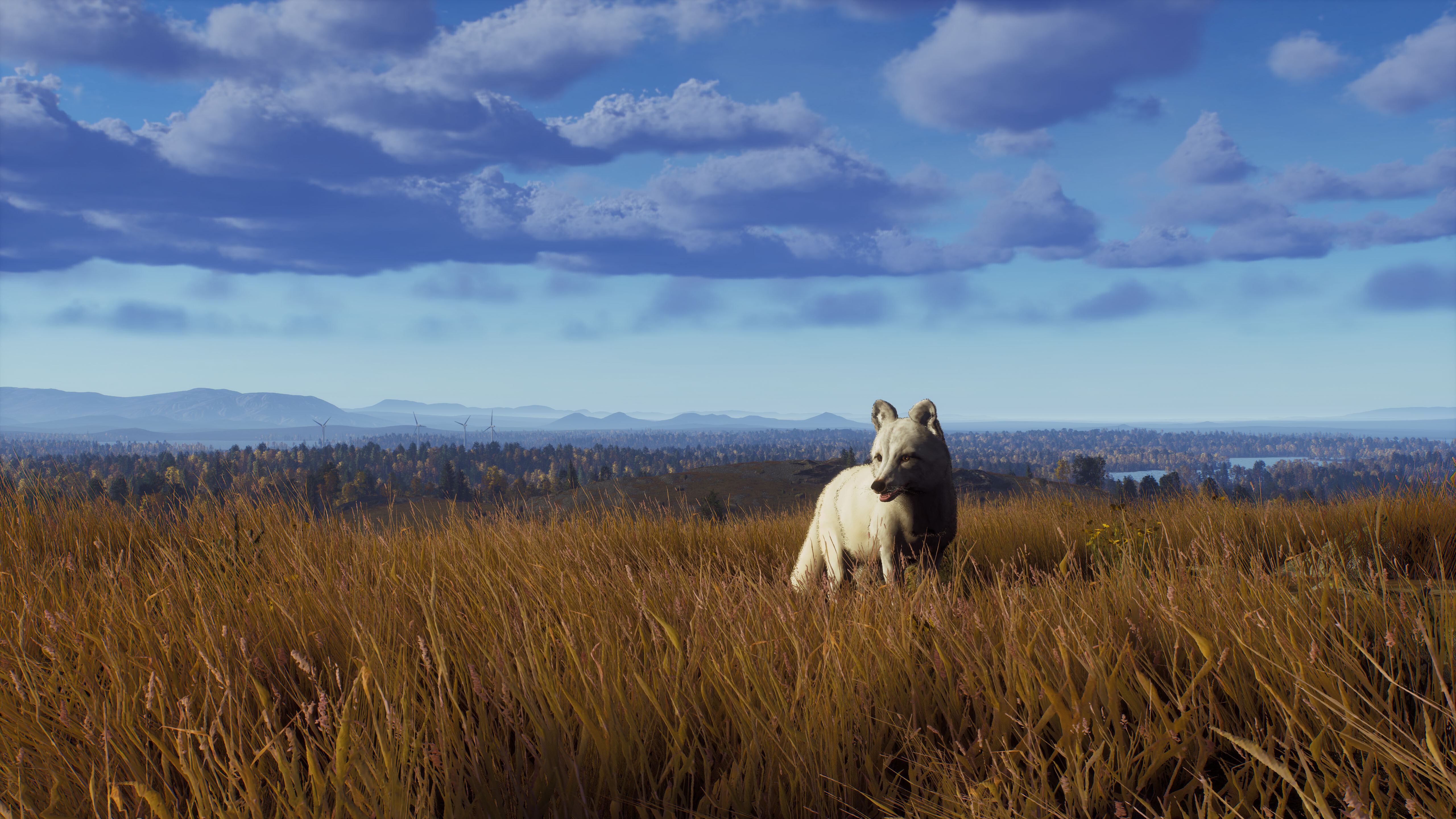 Way of the Hunter - Map Pack 2 screenshot 14