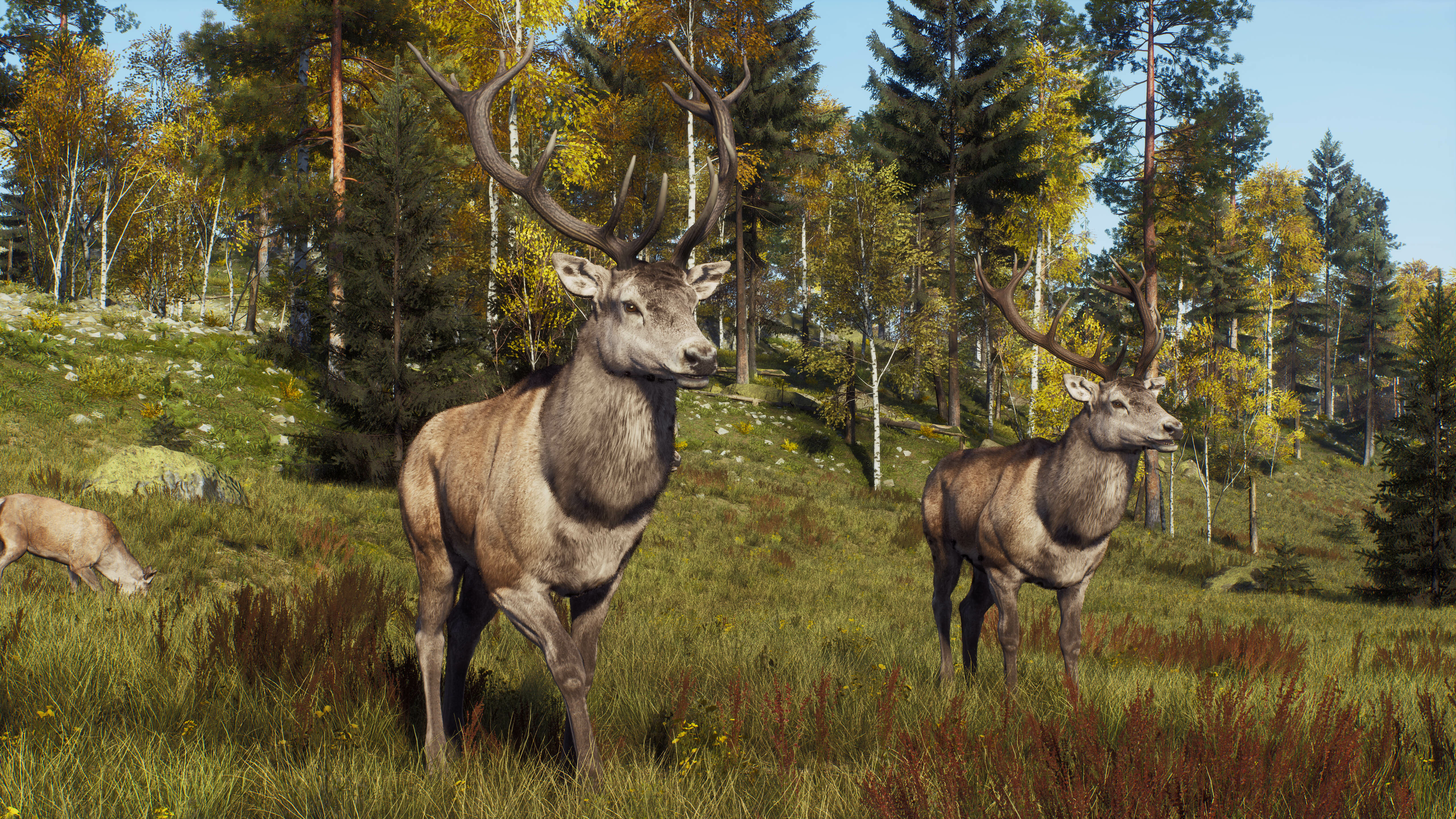 Way of the Hunter - Map Pack 2 screenshot 13