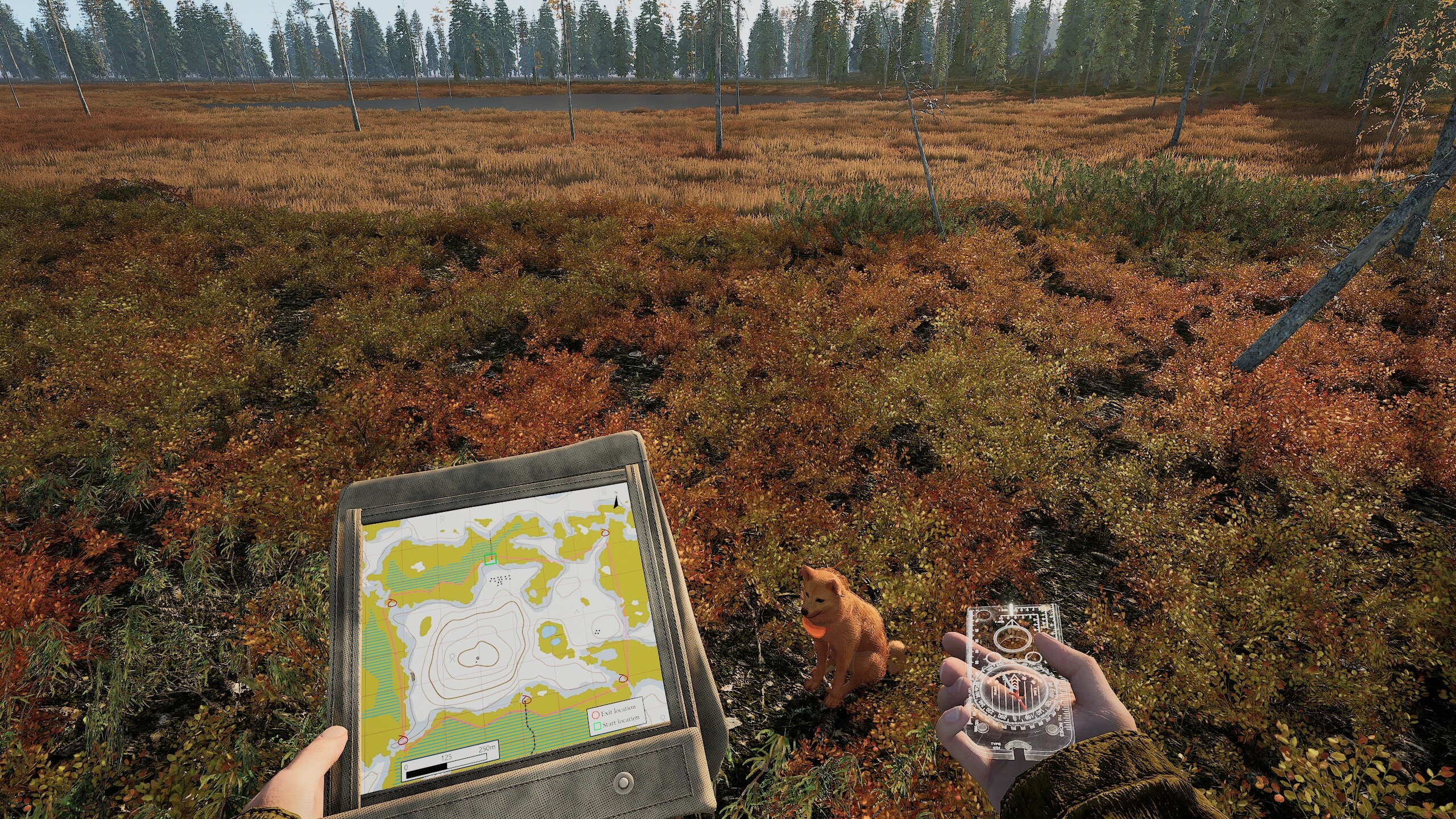 Man and Dog screenshot 5