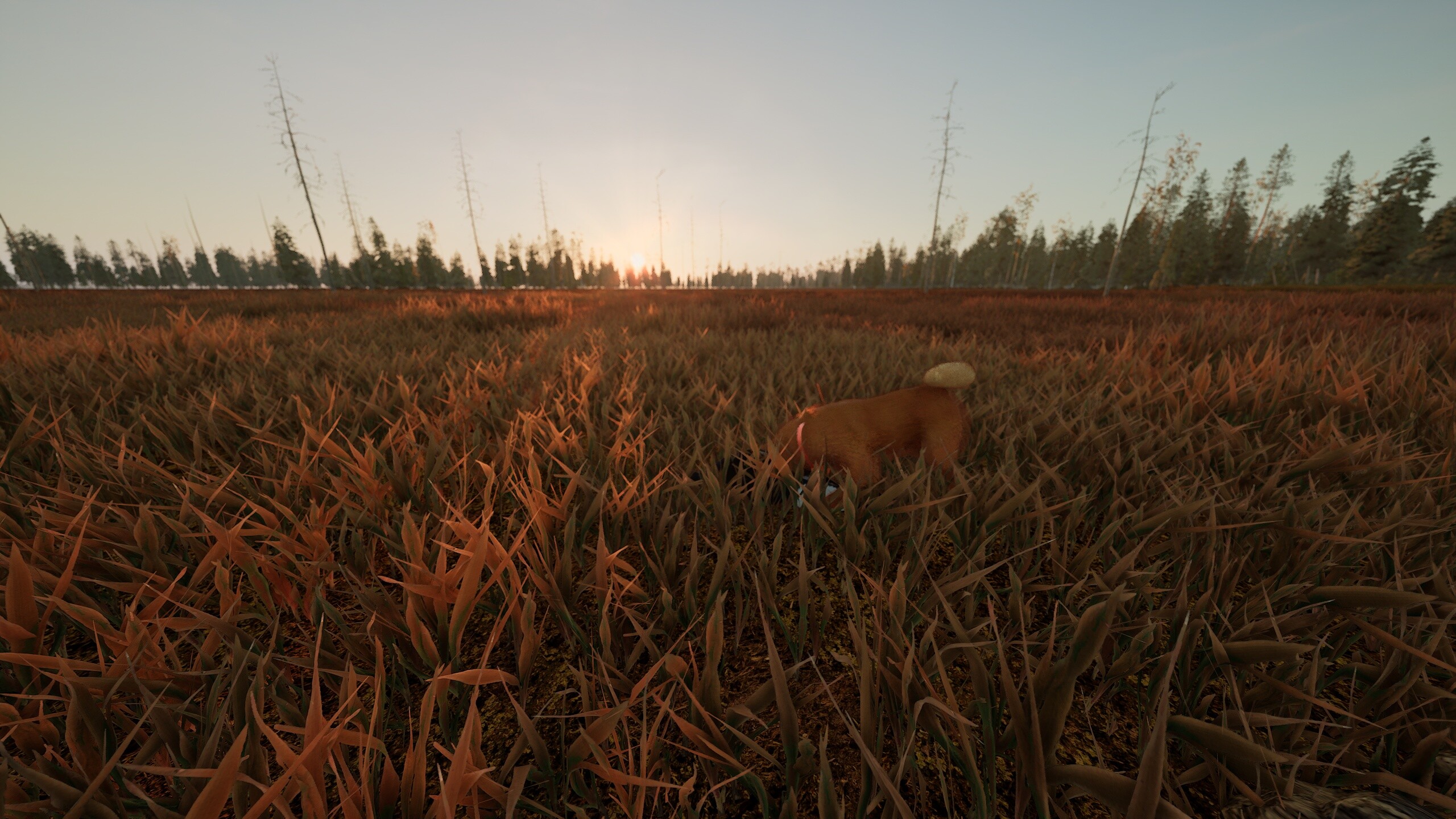 Man and Dog screenshot 8