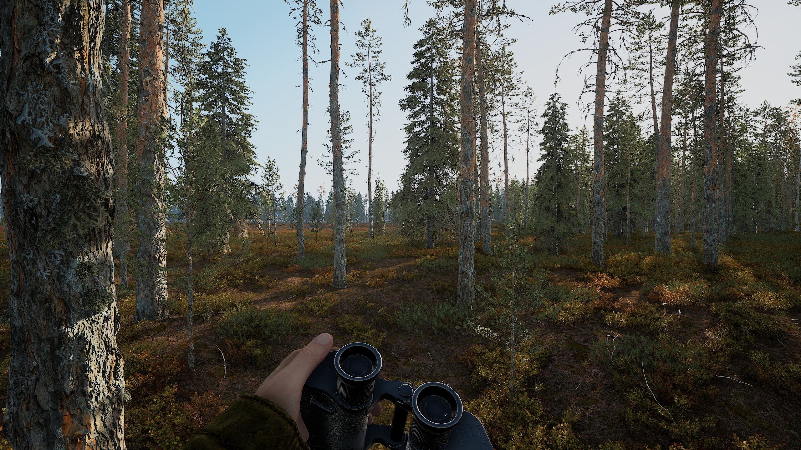 Man and Dog screenshot 2