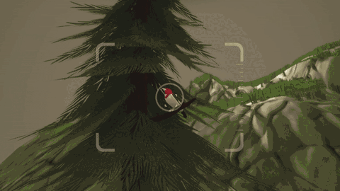 Birdwatching2Optimized2.gif