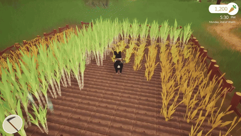 HarvestingAndGrinding2.gif