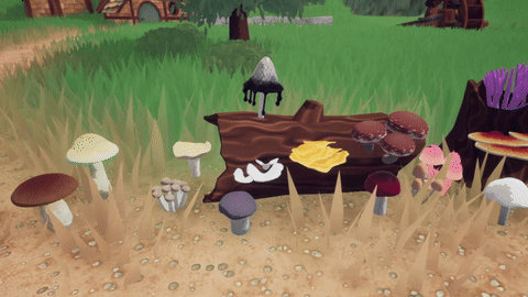 MushroomDisplay2.gif